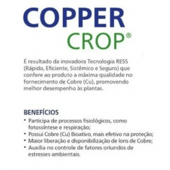 Copper Crop Nutriente Fungicida Bactericida 1 Litro	